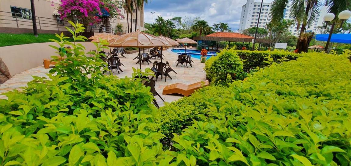 Ecologic Park - *