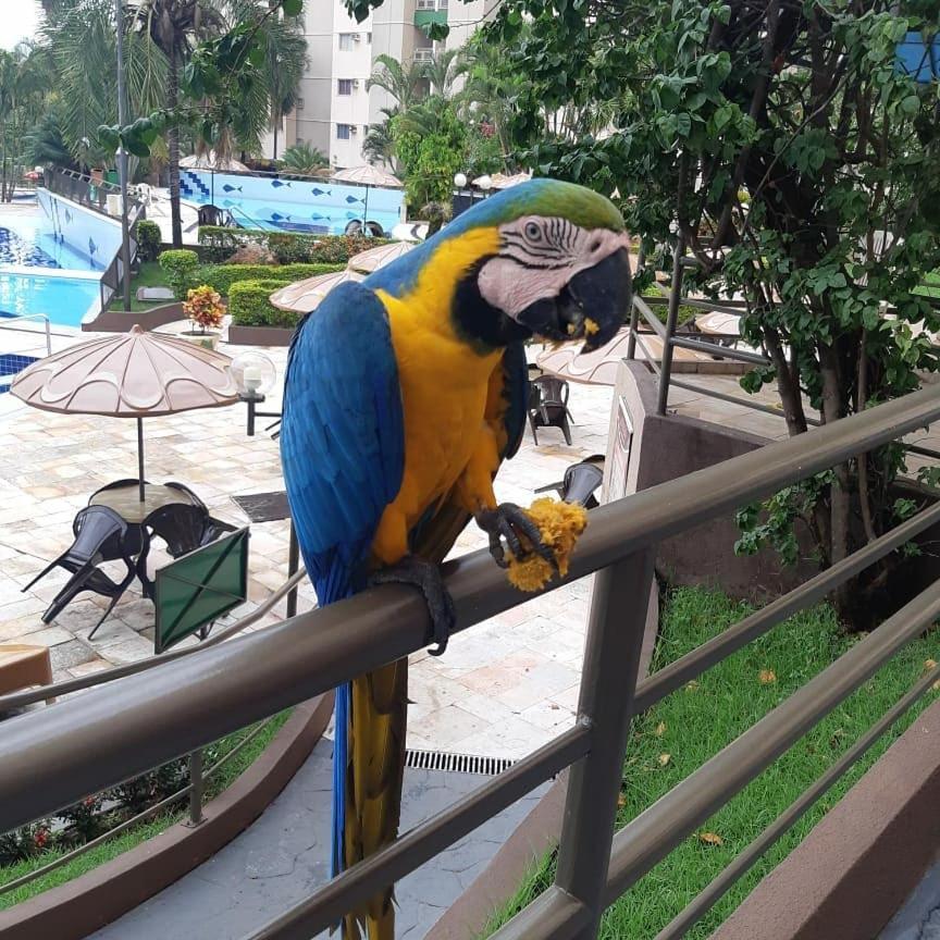 Ecologic Park - * Caldas Novas